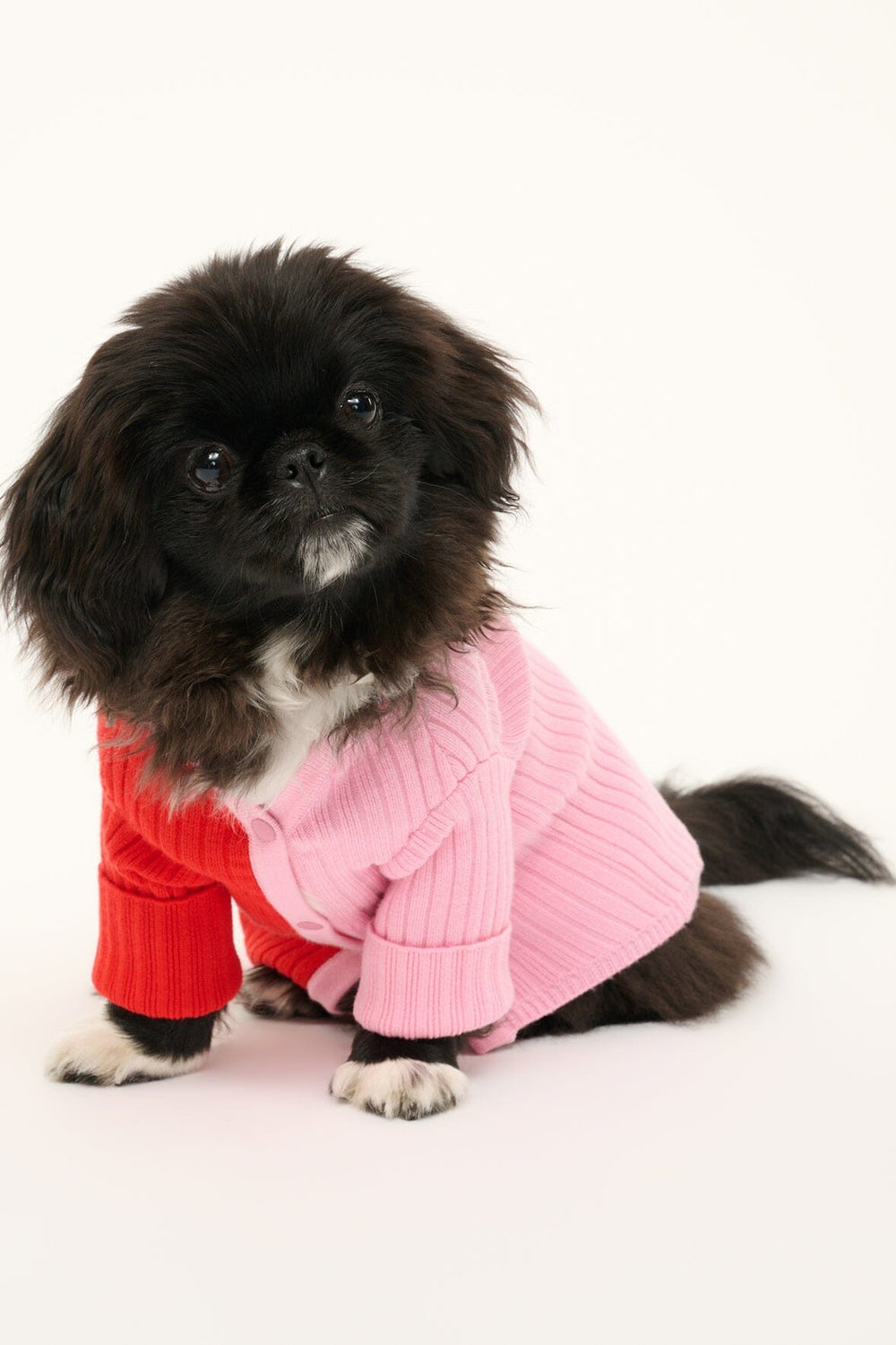 PET SHOKO SWEATER POPPY ROSEBUD - STAUD online