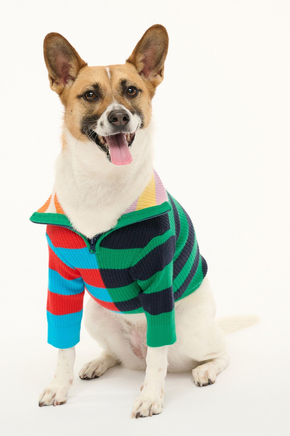 PET HAMPTON SWEATER CABANA STRIPE MULTI - STAUD near me