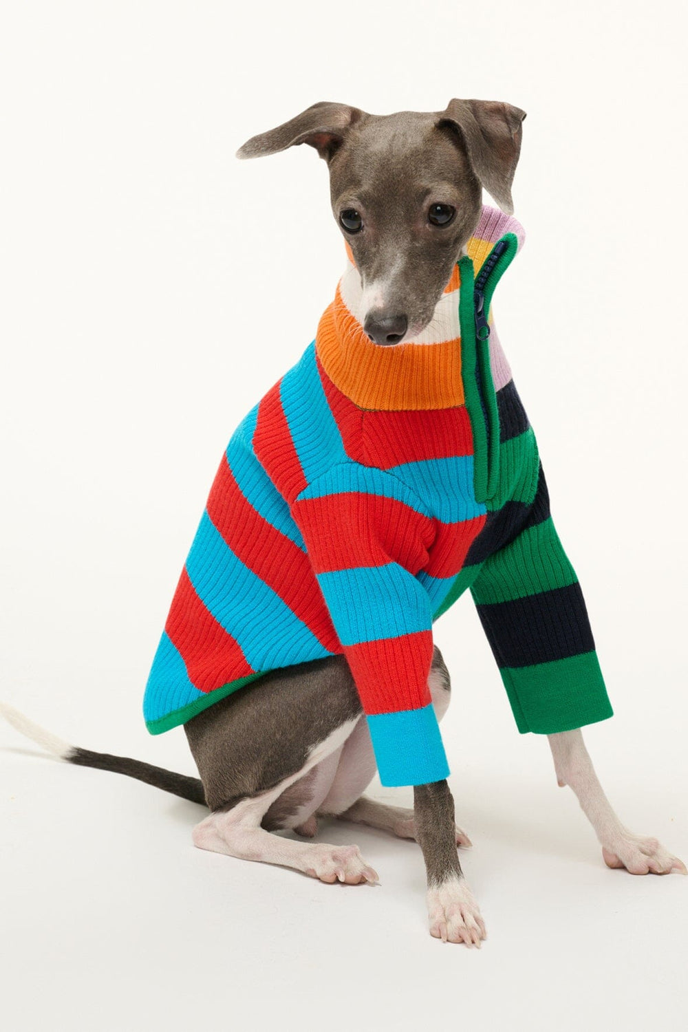PET HAMPTON SWEATER CABANA STRIPE MULTI - STAUD near me