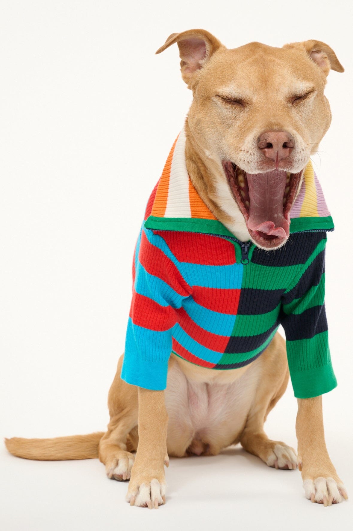 PET HAMPTON SWEATER CABANA STRIPE MULTI - STAUD near me