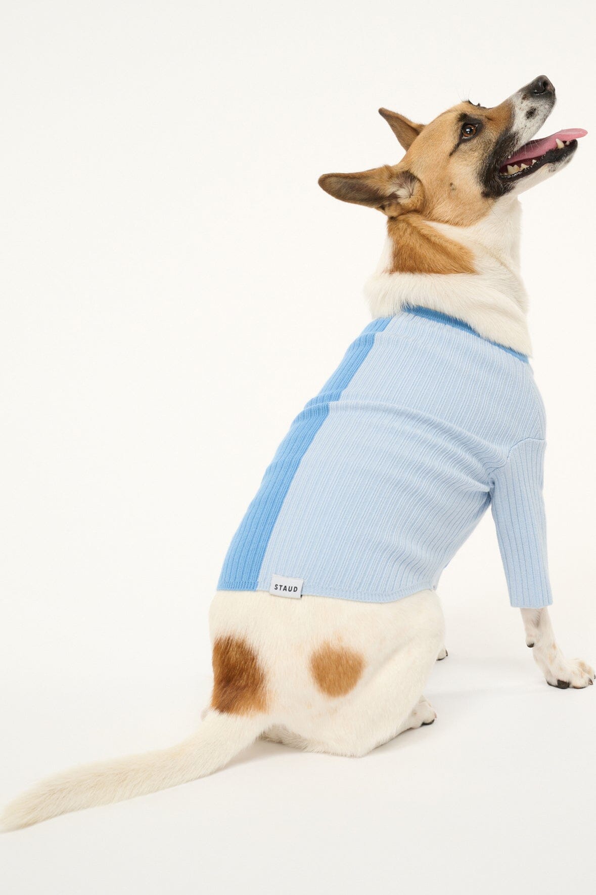 PET SHOKO SWEATER PERIWINKLE MULTI - STAUD for sale