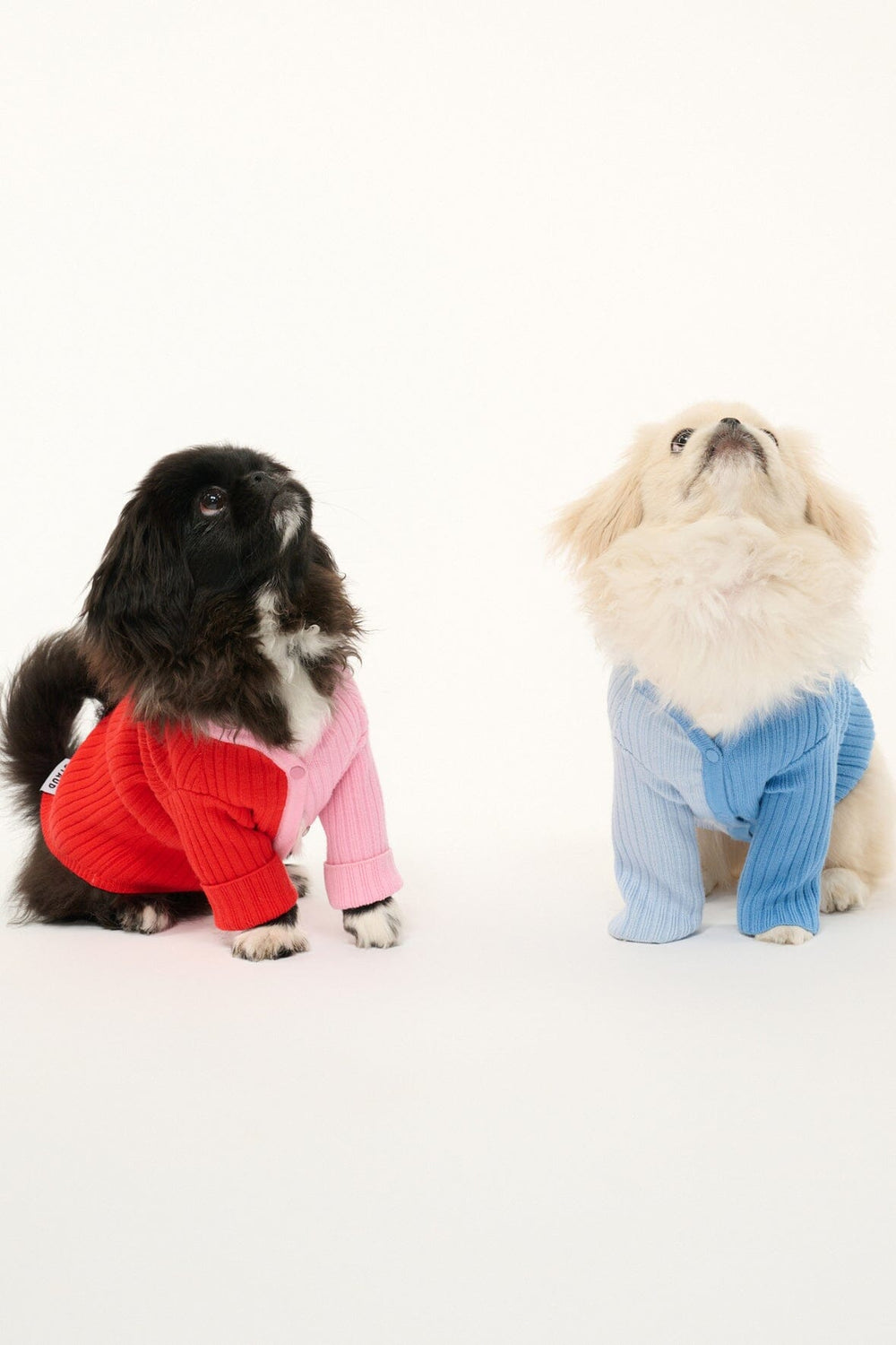 PET SHOKO SWEATER PERIWINKLE MULTI - STAUD for sale