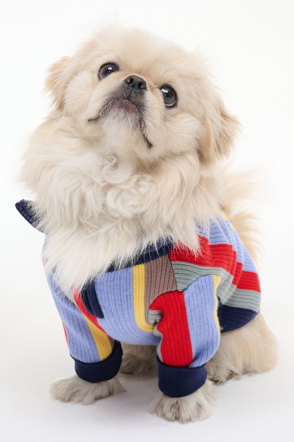 PET HAMPTON SWEATER MARKET STRIPE - STAUD near me