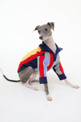PET HAMPTON SWEATER MARKET STRIPE - STAUD outlet