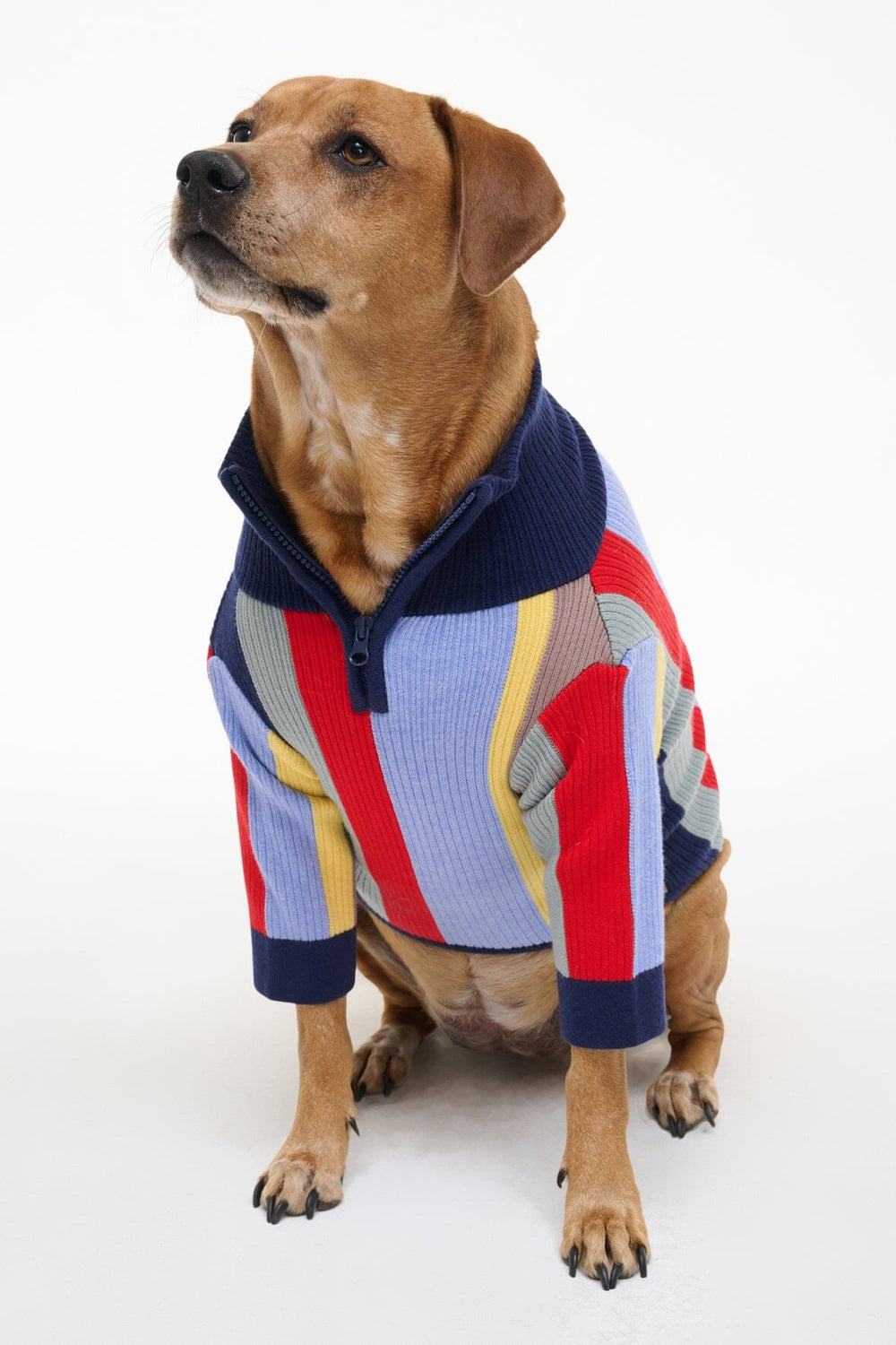 PET HAMPTON SWEATER MARKET STRIPE - STAUD outlet