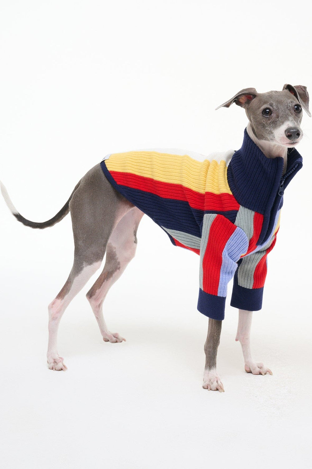 PET HAMPTON SWEATER MARKET STRIPE - STAUD outlet